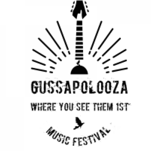 Gussapolooza Music Festival-event-photo