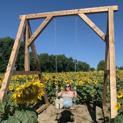 Pingles Farm Sunflower Experience