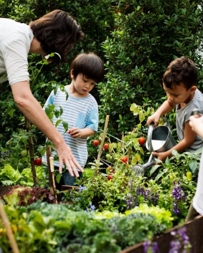 Little Sprouts: Caregiver and Tot Happy Harvest Program-event-photo