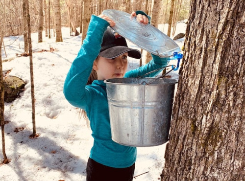 Maple Magic at Haliburton Forest & Wildlife Reserve