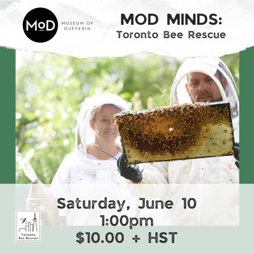 MoD Minds: Toronto Bee Rescue