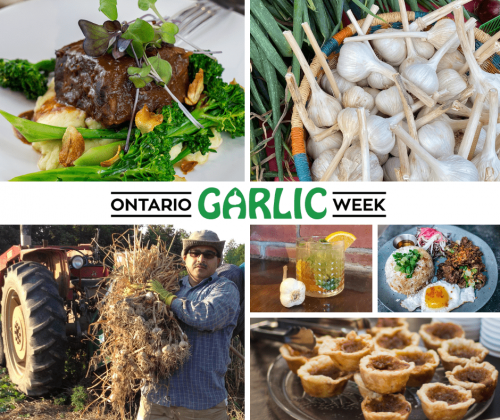 Ontario Garlic Week-event-photo