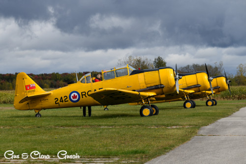 Canadian Harvard Aircraft Association Open House & Fly Day-event-photo