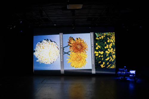 Timothy Yanick Hunter: Playing Pictures-event-photo