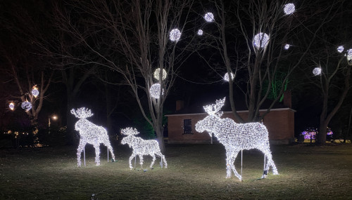 River Lights Winter Festival-event-photo