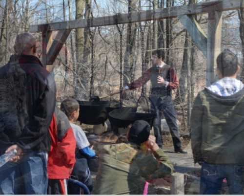 Bronte Creek Maple Syrup Festival