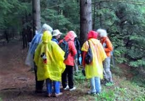Ganaraska Region Conservation Authority's Invasive Species Walk