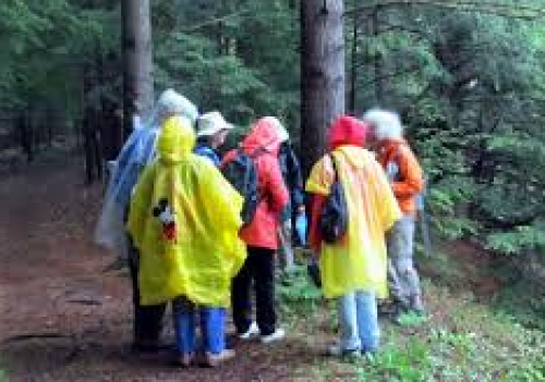 Ganaraska  Region Conservation Authority's Invasive Species Walk