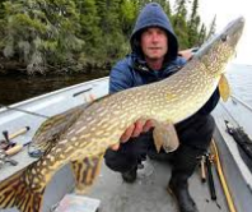 Pickle Lake Pike Catch and Release Derby