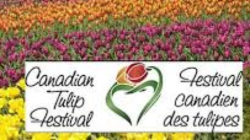 CANADIAN TULIP FESTIVAL