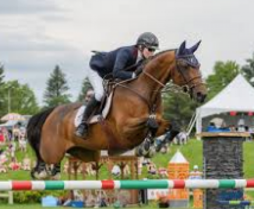 Ottawa National Horse Show