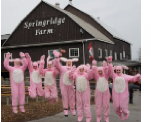 Springridge Easter Festival