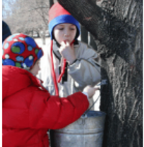 Ganaraska Region Conservation Authority's Maple Syrup Day