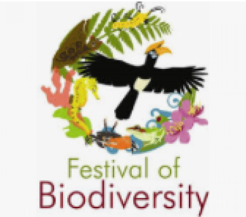 Biodiversity Celebration