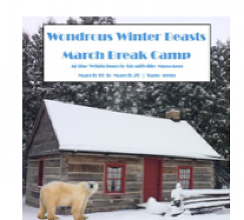 March Break Camp: Wondrous Beasts (Winter Edition)