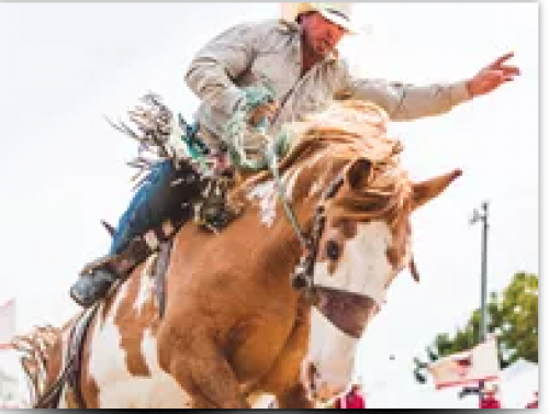 Alvinston Pro Rodeo-event-photo