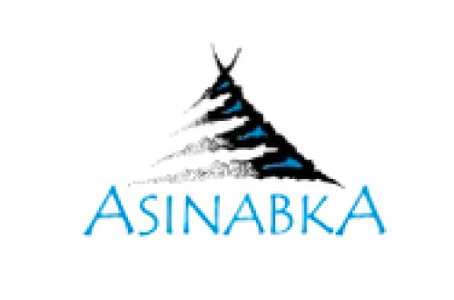 Asinabka Film and Media Arts Festival-event-photo