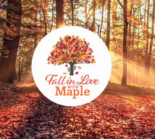 Fall in Love with Maple-event-photo