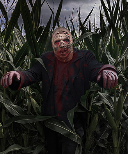 Stalking Dead The 2nd Wave-event-photo