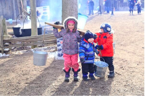 Maple Town at Mountsberg Conservation Area-event-photo