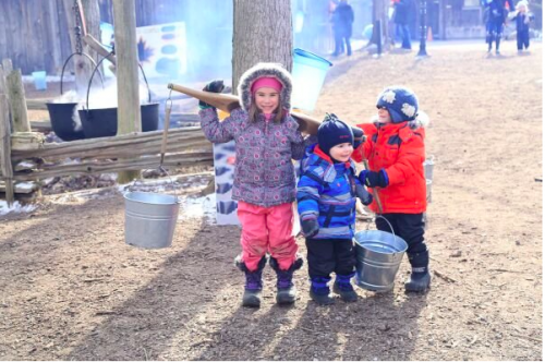 Maple Town at Mountsberg Conservation Area