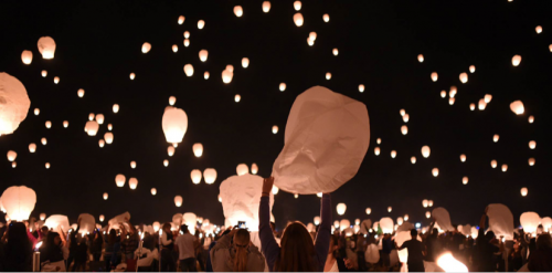 The Lights Festival