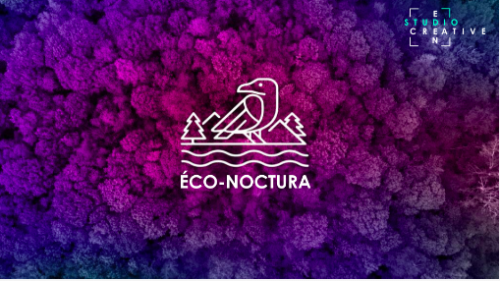 Eco-Noctura-event-photo