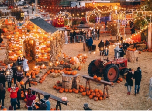 Pumpkinville-event-photo