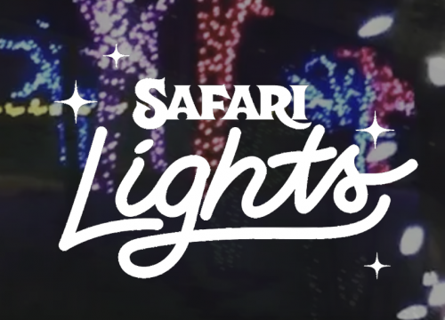 Safari Lights-event-photo