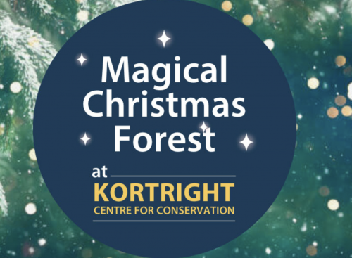 Magical Christmas Forest at Kortright Centre-event-photo