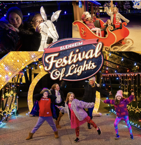 Blenheim Festival of Lights-event-photo