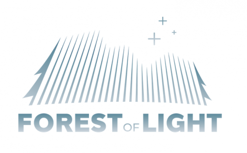 FOREST OF LIGHT-event-photo