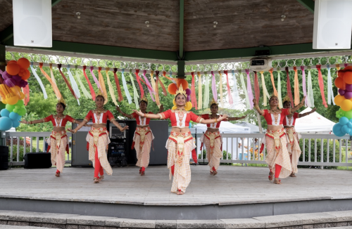 Pembroke Multicultural Festival-event-photo