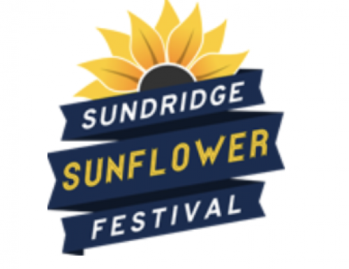 Sunridge Sunflower Festival-event-photo