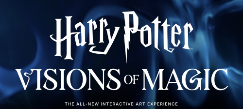 Harry Potter™: Visions of Magic-event-photo