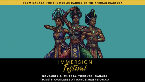 IMMERSION FESTIVAL-event-photo
