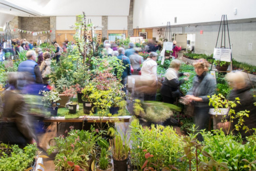 TBG Spring Plant Sale-event-photo