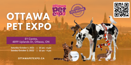 Ottawa Pet Expo-event-photo