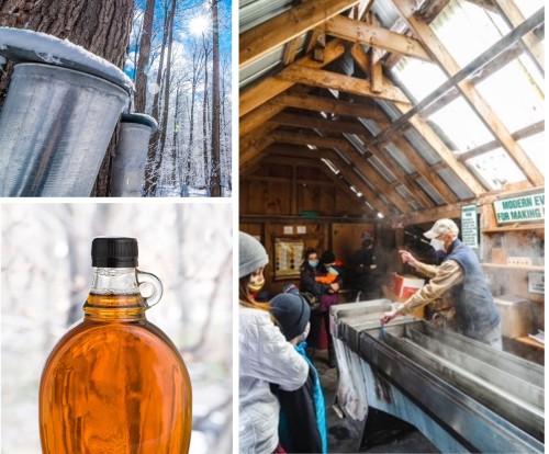 Annual Sweetwater Harvest Weekend