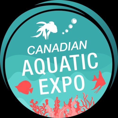 Ontario Events, Things to do in Ontario Summer Fun Guide