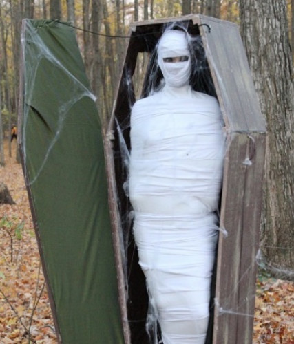 Aurora's Haunted Forest-event-photo