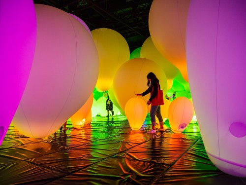 Museum of Balls: Toronto's Newest TikTok and Instagram Selfie Museum