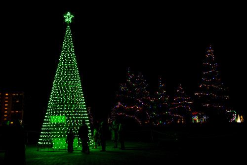 Belleville Festival of Lights