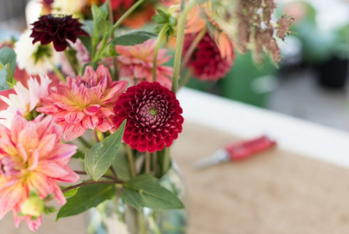Ottawa Flower Market-event-photo