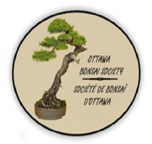 Ottawa Bonsai Society annual show-event-photo