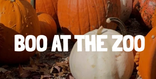 BOO AT THE ZOO-event-photo