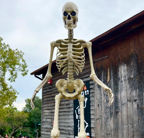 Riverdale Farm Boo Barn
