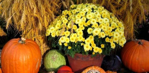 Bruce Mines Fall Fair-event-photo