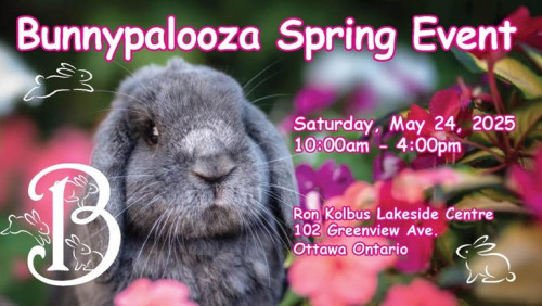 Bunnypalooza-event-photo