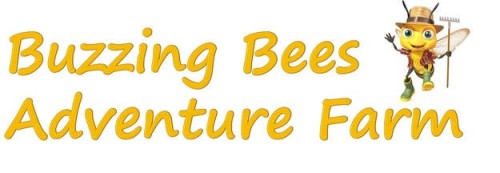 Corn Maze - Buzzing Bees Adventure Farm-event-photo